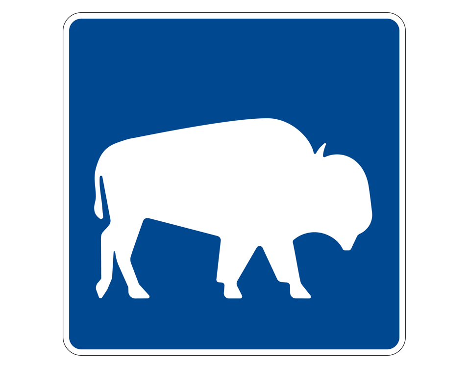 white shape of a bison