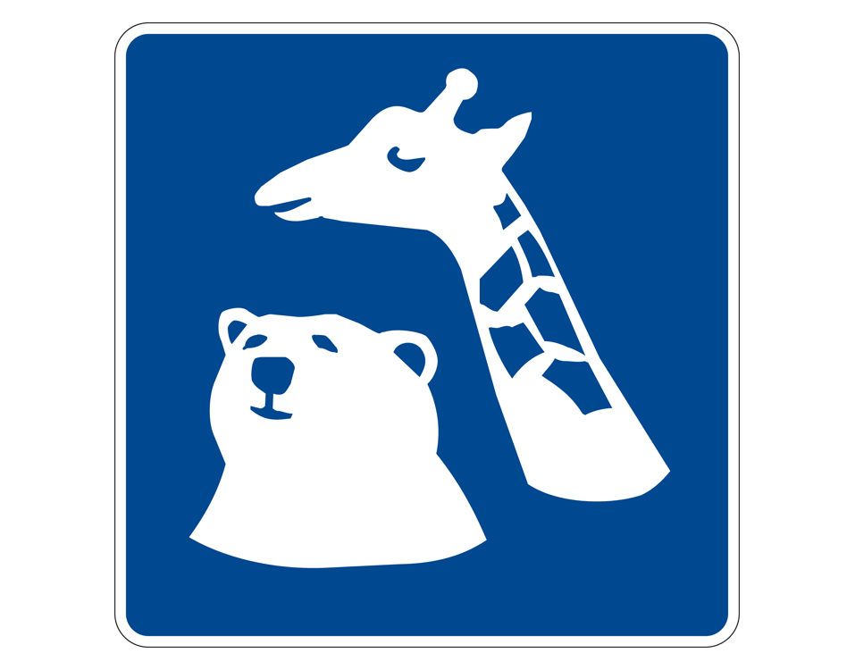 White illustration of a giraffe and a bear