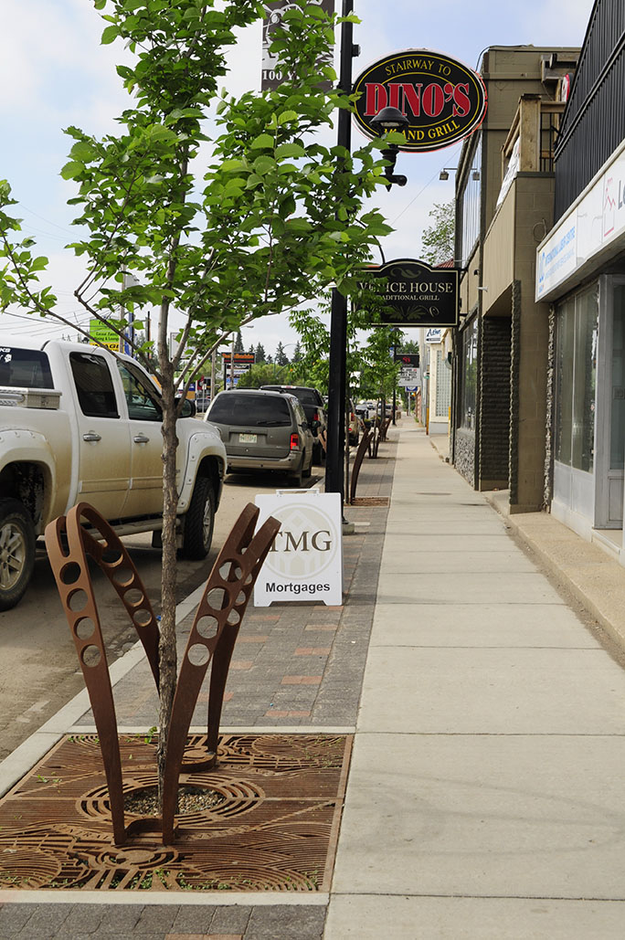 Improved streetscape along Central Avenue with street trees and unique tree grates 