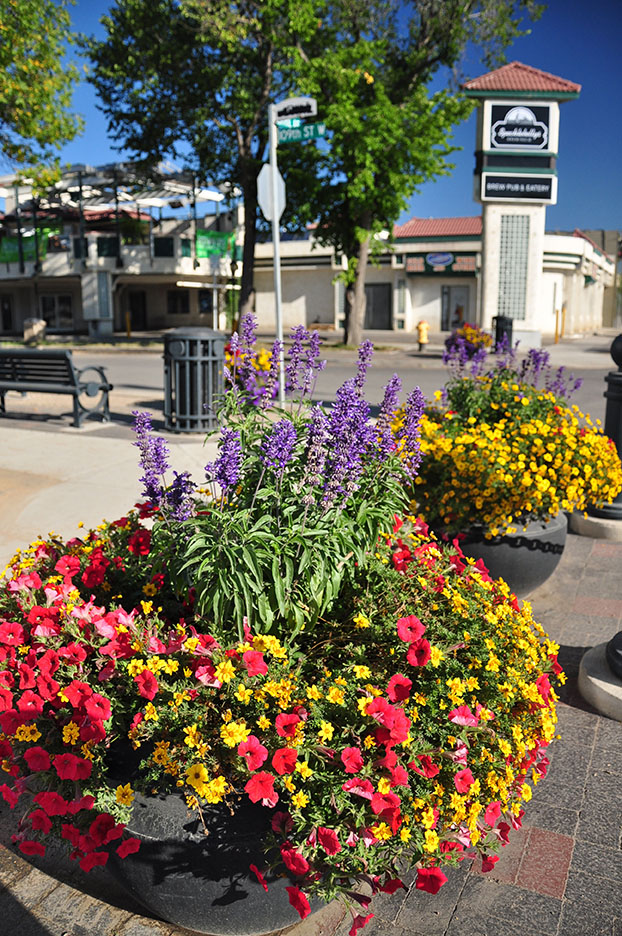 flower pots along the improved Central Avenue streetscape