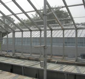 City Greenhouses
