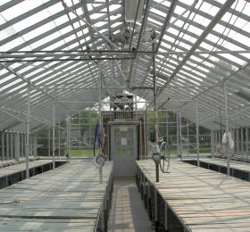 City Greenhouses no plants