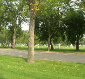 Next of Kin Memorial Avenue NHS at Woodlawn Cemetery
