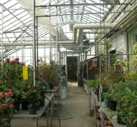 City Greenhouses with Plants