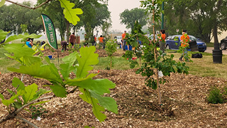 men preparing ground for planting
