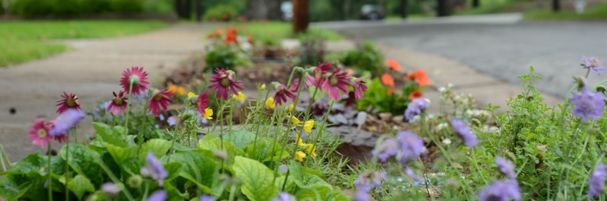 Boulevard garden