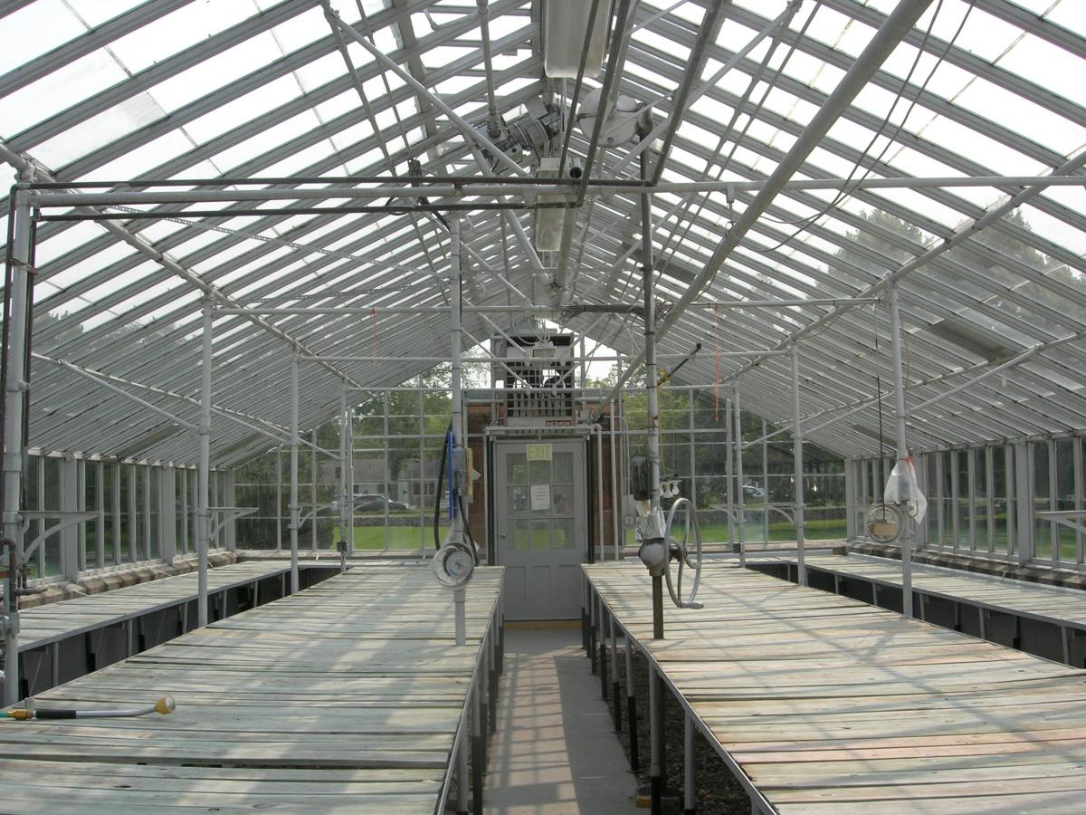 city greenhouse - 2015