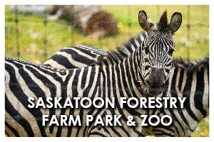 Saskatoon Forestry Farm Park & Zoo