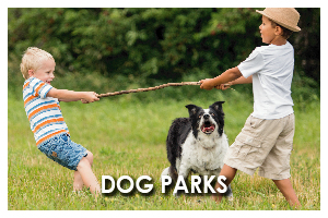 Dog Parks