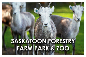 Saskatoon Forestry Farm Park & Zoo