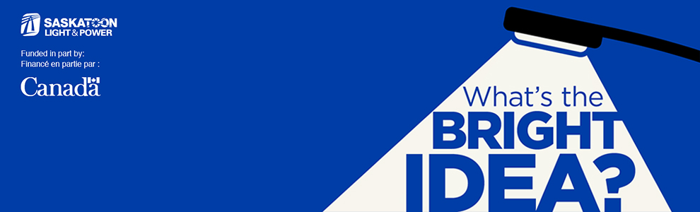 What's the Bright Idea? - LED Street Light Conversion Project