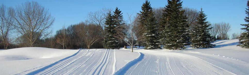 Ski Trails