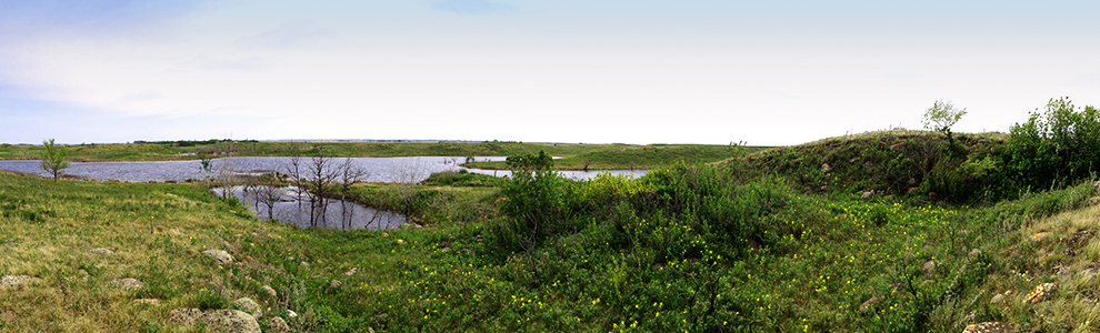 Northeast Swale