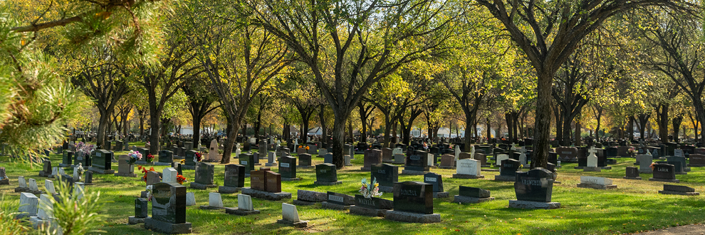 Woodlawn Cemetery