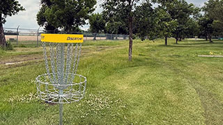Disc Golf at Forestry Farm Park