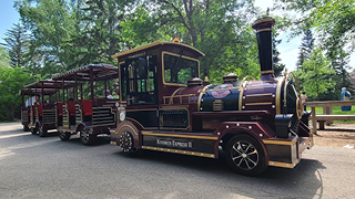 Kinsmen Express II train