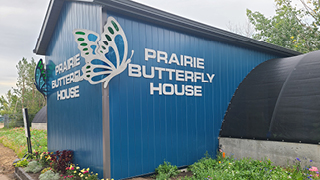 Prairie Butterfly House