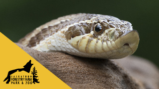 Admission by Donation