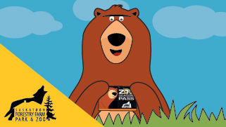 Bear Graphic