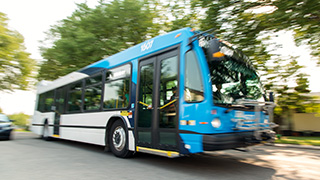 bus