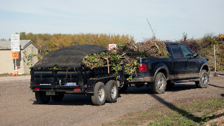 Compost Site