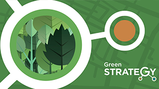 Green Strategy