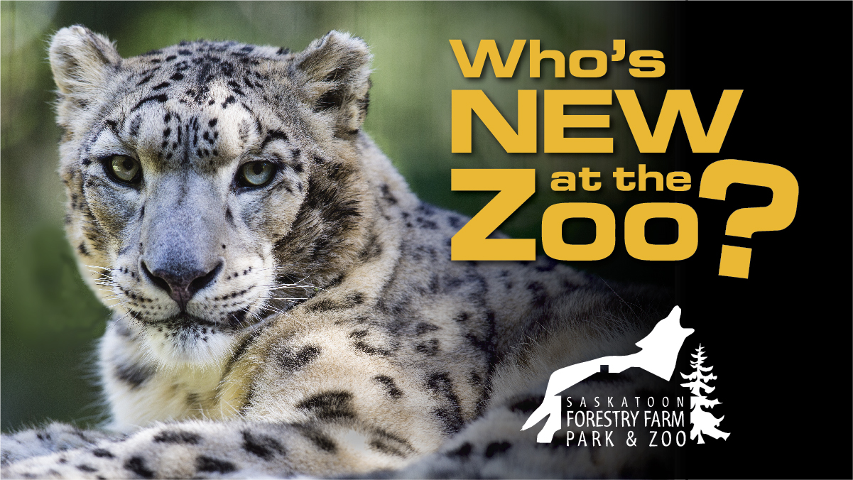 Zoo