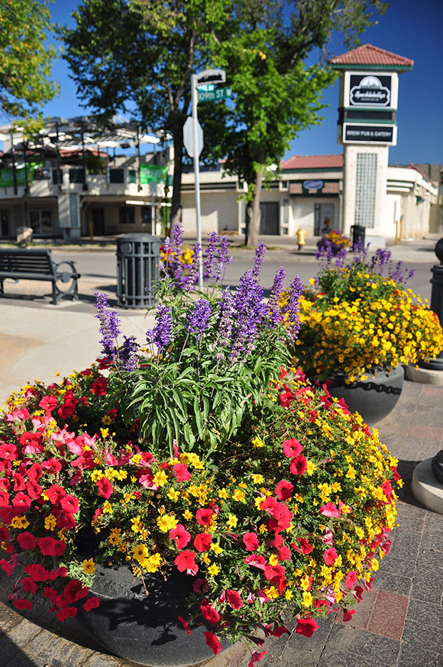 Central Ave Saskatoon