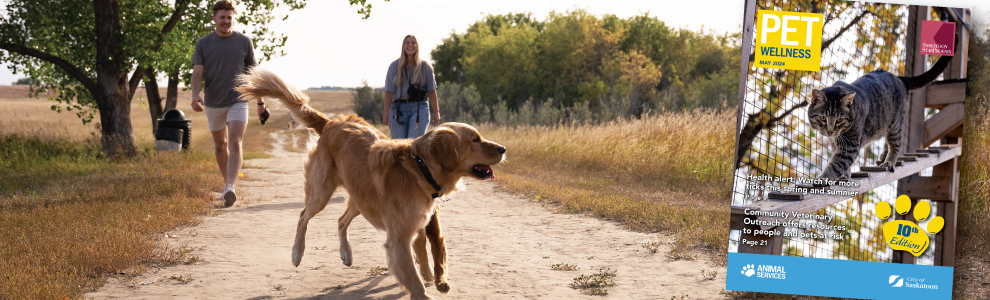 pet wellness guide