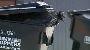 bin