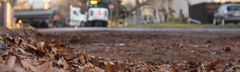 Leaves on street