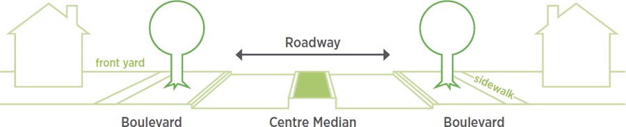 Median garden illustration