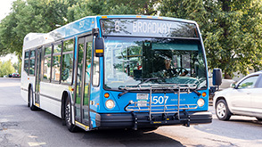 bus