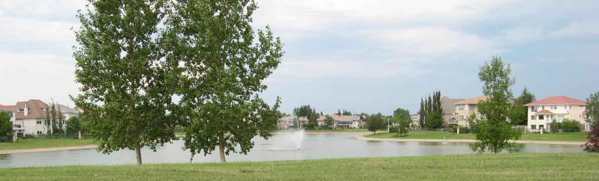 Storm Ponds