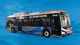 buses
