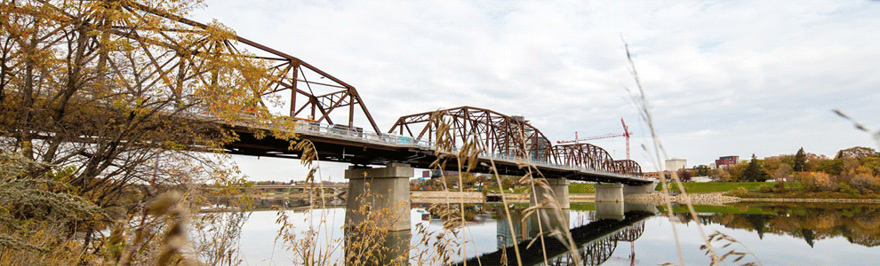 Bridge Collage