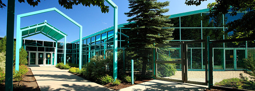 610+ Civic Center Gym Gratis