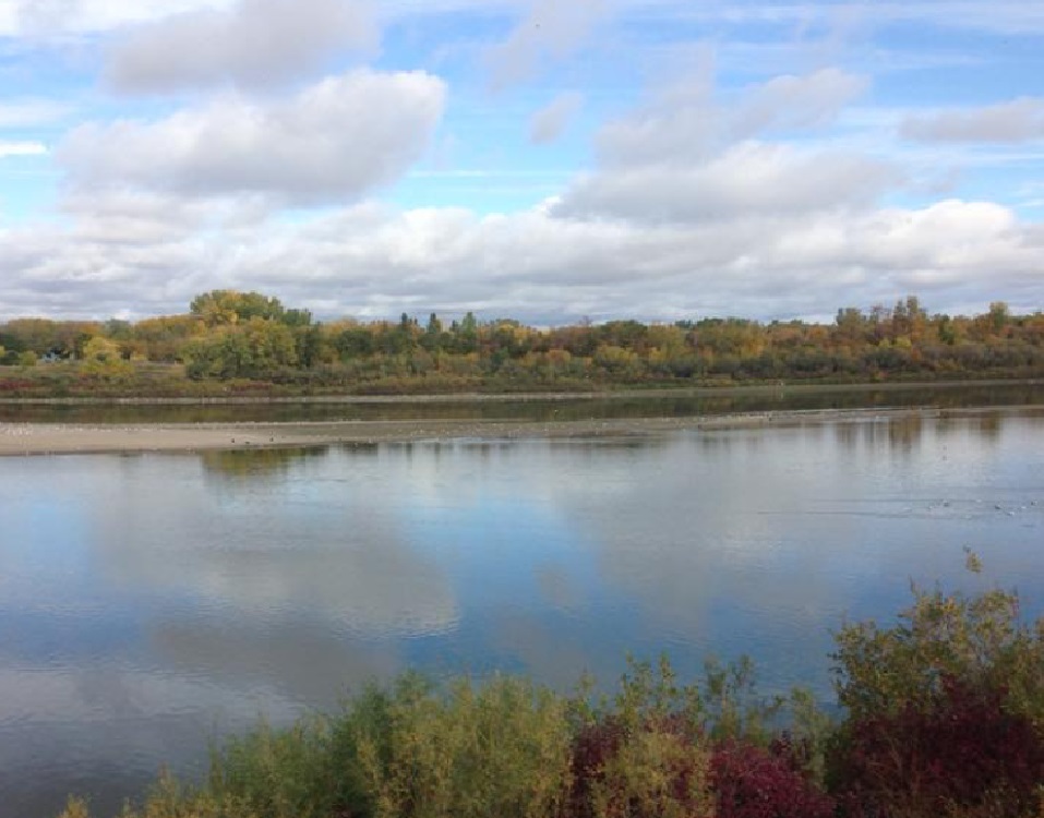 View of the river from Exhibition