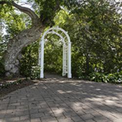 wedding garden