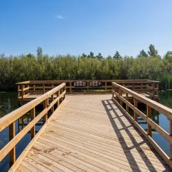 dock