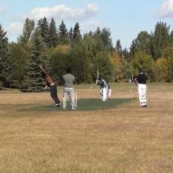 cricket