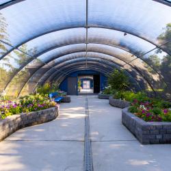 interior prairie butterfly house