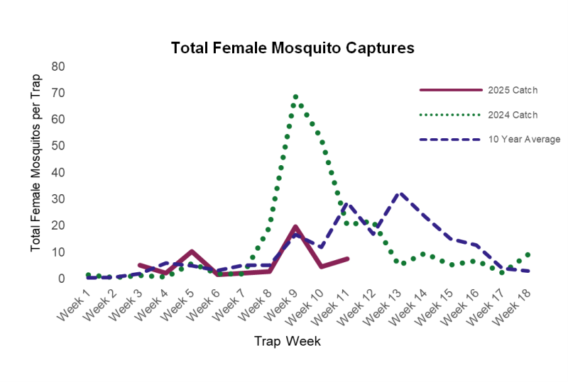 Weekly trend of total female mosquitoes captured per trap, compared to the same period last year and the 10-year average.