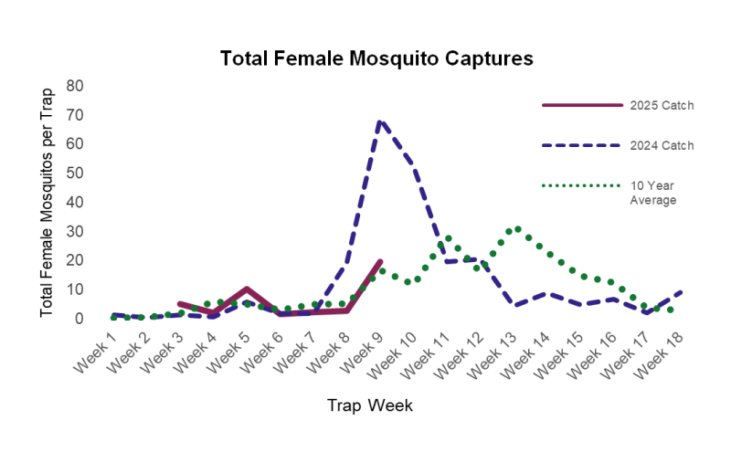 Weekly trend of total female mosquitoes captured per trap, compared to the same period last year and to the 10-year average.
