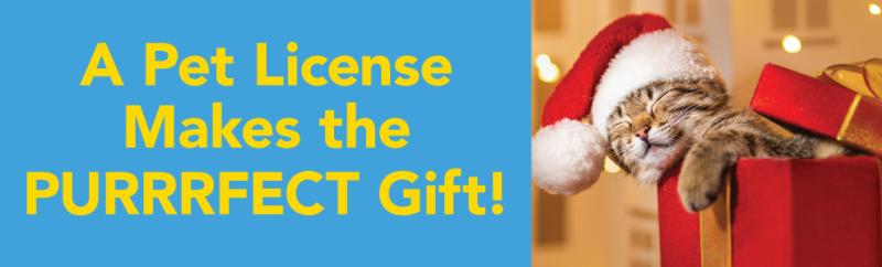 A cute cat in a christmas box with text "A pet license makes the purrrfect gift'