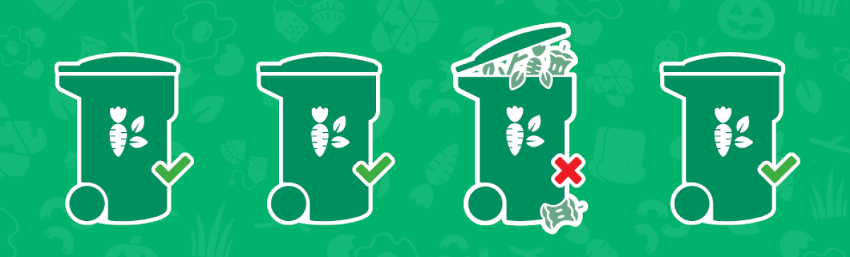 Green Blitz - Organics Audit Education Program