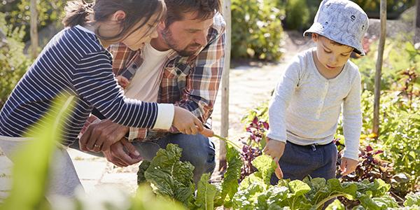 An adult and two children gardening in the sun.