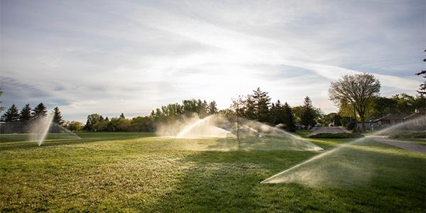 Park Irrigation Image