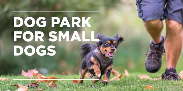small dog parks tile image