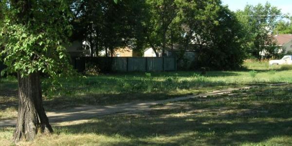 a vancant lot with trees